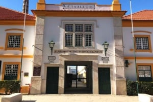 Portosta: Aveiro Yksityinen opastettu päiväretki