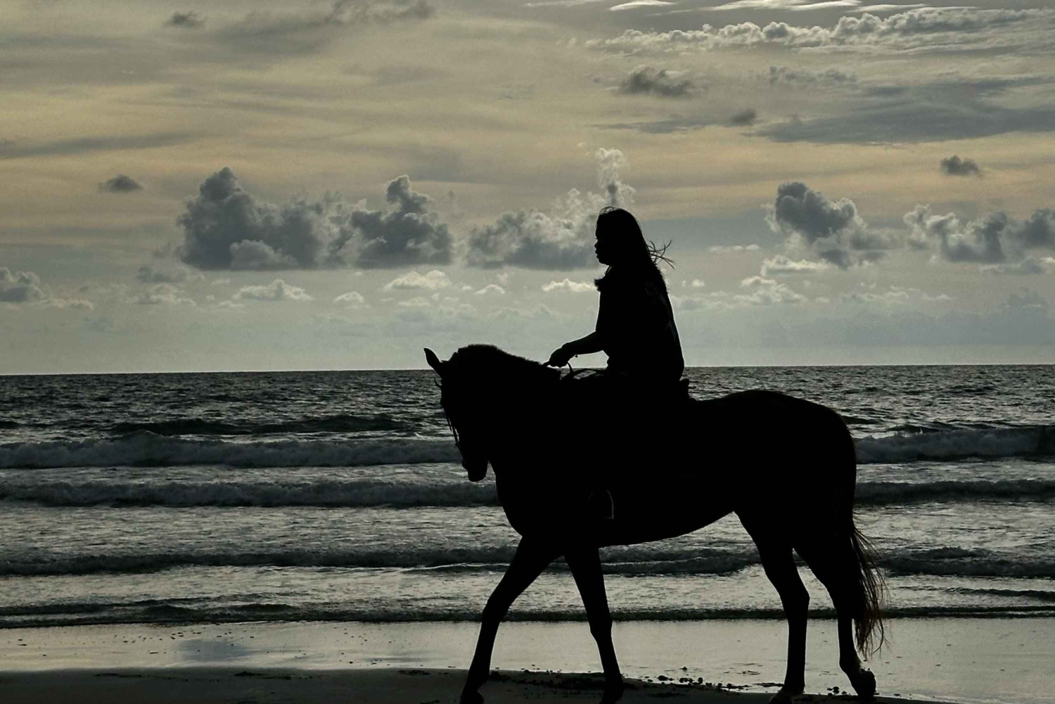 From Porto: Beach Horseback Ride + Brunch + Pickup