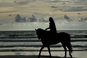 From Porto: Beach Horseback Ride + Brunch + Pickup