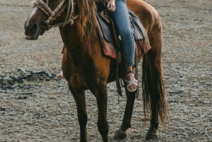 From Porto: Beach Horseback Ride + Brunch + Pickup