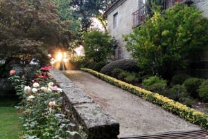 Från Porto: Braga och Guimarães dagsutflykt med lunch