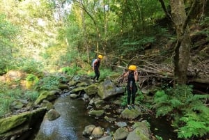 Depuis Porto : expérience de canyoning dans le géoparc d'Arouca