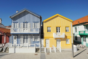 Vanuit Porto: Dagtocht door Coimbra, Aveiro en Costa Nova