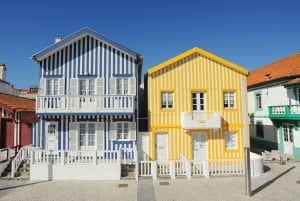 Vanuit Porto: Dagtocht door Coimbra, Aveiro en Costa Nova
