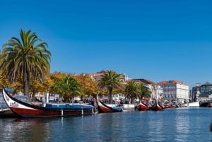 Vanuit Porto: Dagtocht door Coimbra, Aveiro en Costa Nova