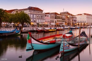 Vanuit Porto: Dagtocht door Coimbra, Aveiro en Costa Nova