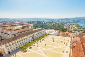 Vanuit Porto: Dagtocht door Coimbra, Aveiro en Costa Nova