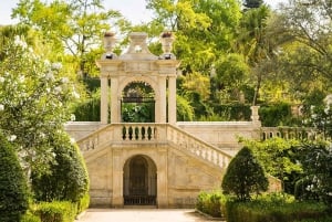 Vanuit Porto: Dagtocht door Coimbra, Aveiro en Costa Nova