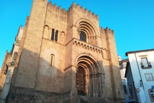 Z Porto: Jednodniowa wycieczka do Coimbry, Aveiro i Costa Nova