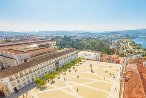 Z Porto: Jednodniowa wycieczka do Coimbry, Aveiro i Costa Nova
