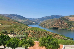 Z Porto Dzień Douro Valley Wine Tour 2 Degustacja wina i lunch