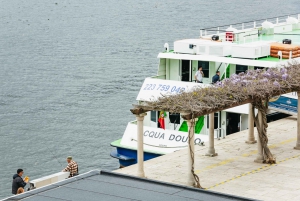 Porto : croisière vers Régua avec petit-déjeuner, déjeuner et retour en bus