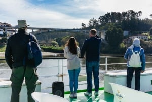 Porto : croisière vers Régua avec petit-déjeuner, déjeuner et retour en bus