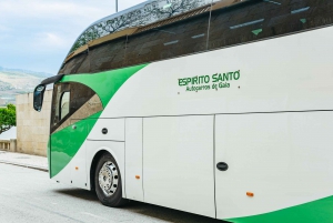 Porto : croisière vers Régua avec petit-déjeuner, déjeuner et retour en bus