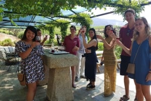 Von Porto aus: Douro Valley 3 Vineyards Tour mit Mittagessen