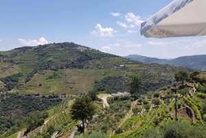Von Porto aus: Douro Valley 3 Vineyards Tour mit Mittagessen