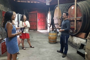 Von Porto aus: Douro Valley 3 Vineyards Tour mit Mittagessen