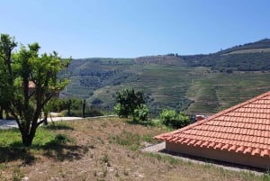 Von Porto aus: Douro Valley 3 Vineyards Tour mit Mittagessen