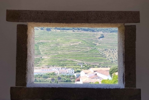 Von Porto aus: Douro Valley 3 Vineyards Tour mit Mittagessen