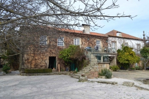 Von Porto aus: Douro Valley 3 Vineyards Tour mit Mittagessen