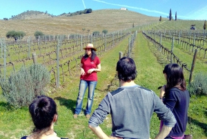 Fra Porto: Douro-dalen – tur til tre vingårder med lunsj