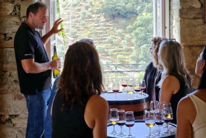 Fra Porto: Douro-dalen – tur til tre vingårder med lunsj