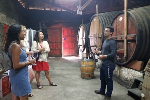 Fra Porto: Douro-dalen – tur til tre vingårder med lunsj