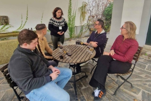 Fra Porto: Douro-dalen – tur til tre vingårder med lunsj