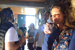 Fra Porto: Douro-dalen – tur til tre vingårder med lunsj