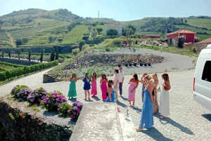 Fra Porto: Douro-dalen – tur til tre vingårder med lunsj