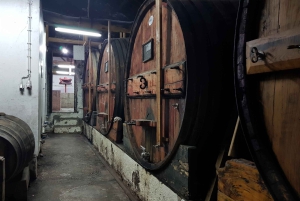 Fra Porto: Douro-dalen – tur til tre vingårder med lunsj