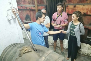 Fra Porto: Douro-dalen – tur til tre vingårder med lunsj