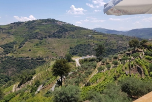 Fra Porto: Douro-dalen – tur til tre vingårder med lunsj