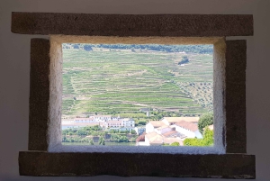 Fra Porto: Douro-dalen – tur til tre vingårder med lunsj