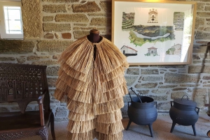 Fra Porto: Douro-dalen – tur til tre vingårder med lunsj