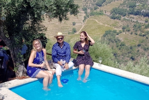 Fra Porto: Douro-dalen – tur til tre vingårder med lunsj