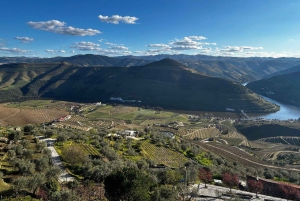 Depuis Porto : Vallée du Douro avec vignobles, déjeuner et excursion en bateau