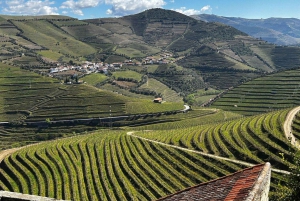 Depuis Porto : Vallée du Douro avec vignobles, déjeuner et excursion en bateau