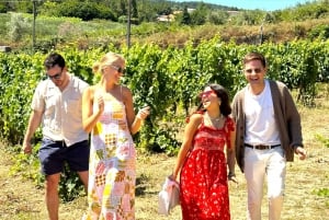 Depuis Porto : Visite privée de la vallée du Douro avec 3 vignobles et déjeuner