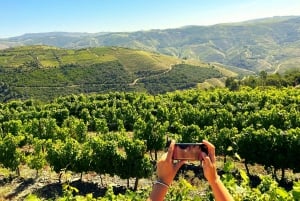Depuis Porto : Visite privée de la vallée du Douro avec 3 vignobles et déjeuner