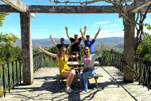 Depuis Porto : Visite privée de la vallée du Douro avec 3 vignobles et déjeuner