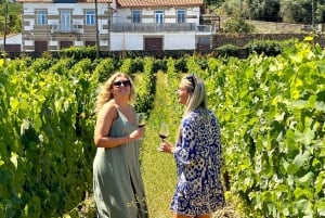 Depuis Porto : Visite privée de la vallée du Douro avec 3 vignobles et déjeuner