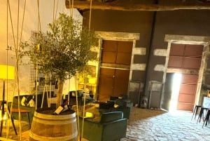 Depuis Porto : Visite privée de la vallée du Douro avec 3 vignobles et déjeuner