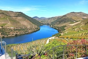 Depuis Porto : Visite privée de la vallée du Douro avec 3 vignobles et déjeuner