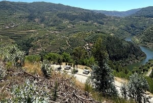 Depuis Porto : Visite privée de la vallée du Douro avec 3 vignobles et déjeuner