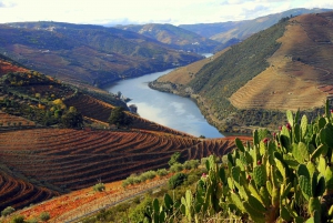 Wycieczka do doliny Douro – późny start
