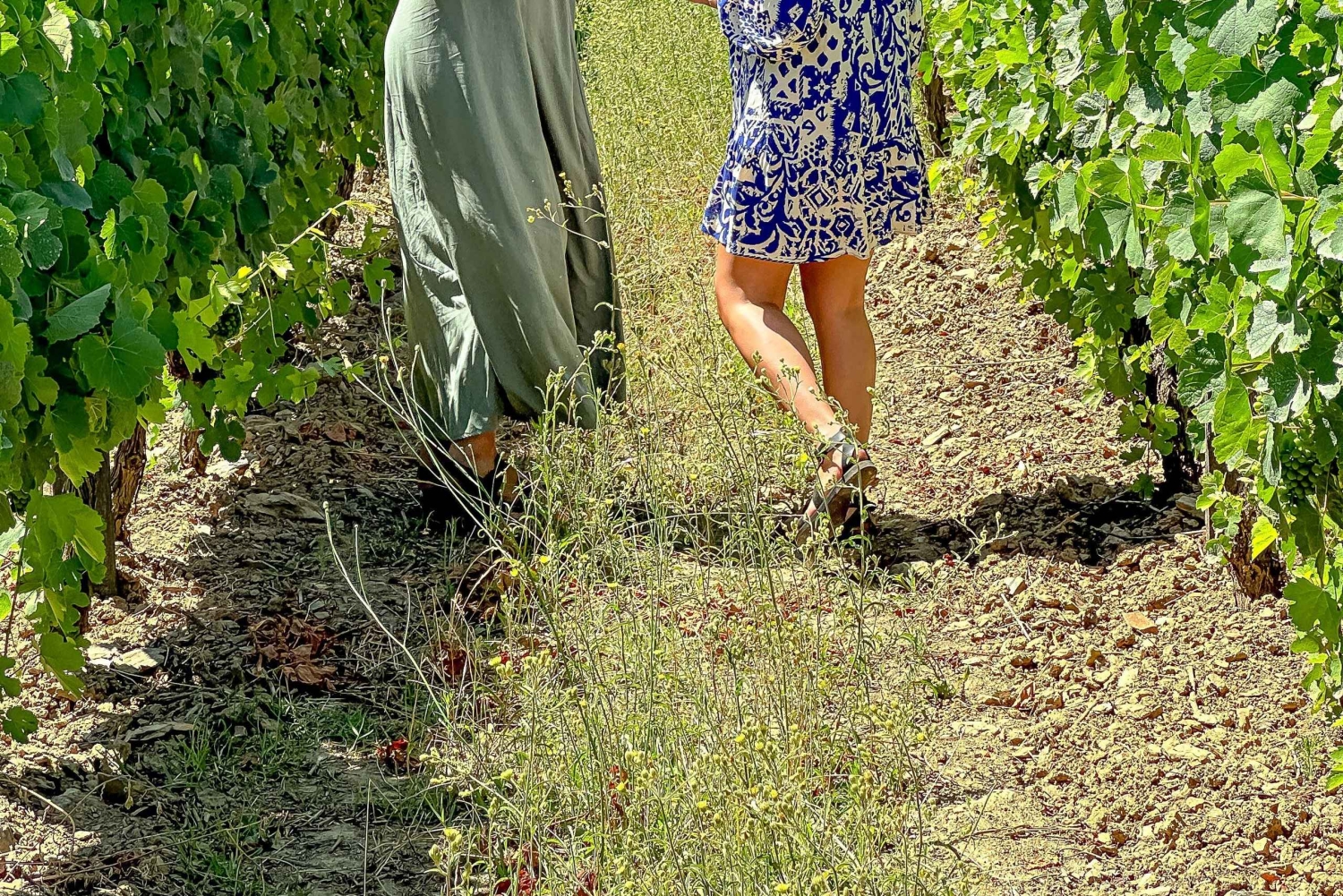 Depuis Porto : Visite privée de la vallée du Douro avec 3 vignobles et déjeuner