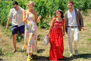 Depuis Porto : Visite privée de la vallée du Douro avec 3 vignobles et déjeuner