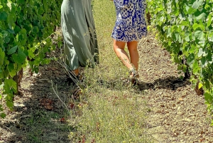 Depuis Porto : Visite privée de la vallée du Douro avec 3 vignobles et déjeuner