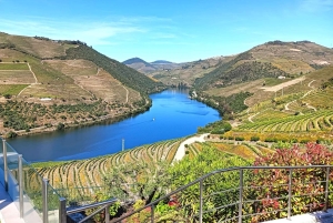 Depuis Porto : Visite privée de la vallée du Douro avec 3 vignobles et déjeuner